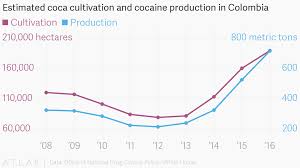 Estimated Coca Cultivation And Cocaine Production In Colombia