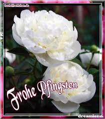 Habt ein schönes langes wochenende. Gluckwunsche Aller Art Seite 21