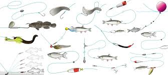 15 Bait Rigs That Will Catch Any Fish Anywhere Outdoor Life