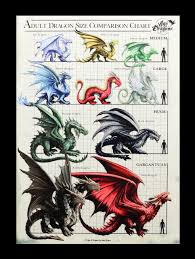 Large Canvas Dragon Size Chart