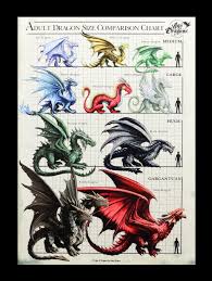 large canvas dragon size chart