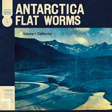 Flat Worms Antarctica Drag City Now we recommend you to download first result antarctica bluray video song thupakki mp3. flat worms antarctica drag city