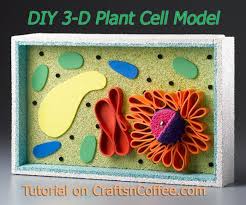 1232x1390 diagram showing animal cell illustration stock vector art. Homework Helper How To Build A 3 D Plant Cell Model Plant Cell Model Animal Cells Model Plant Cell Project
