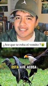 Alan Manjarrez (@manja_naturalista) • Instagram photos and videos