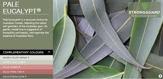 Pale Eucalypt Colorbond Strongguard House Exterior Color Schemes Exterior Color Schemes Exterior Paint Colors For House
