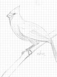 Beneath the head, draw an oval, tilted to the side. Draw A Bird Day Simple Drawings About Things That Happen