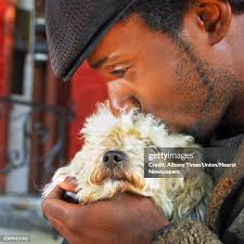 125 Morning Lark Stock Photos, High-Res Pictures, and Images