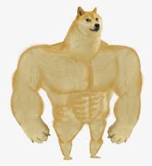 Seeking for free doge png images? Doge Png Images Transparent Doge Image Download Pngitem