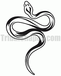 Snake 1 Gif 640 800 Pixels