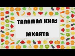 Berdasarkan bacaan tentang , temukan ide pokok dan kalimat pengembang setiap paragrafnya. Tanaman Khas Jakarta Plbj Kelas 6 Youtube
