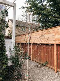 Over 60 standard styles of vinyl fenc. Diy Horizontal Privacy Fence A Cedar Fence Extension Project Rain And Pine