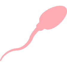 Purchase tampons and pads to fight against the menstrual bleeding and get the 'extra absorbency' reward store trait to improve their absorbency. Wonderfulwhims Mod For The Sims 4 By Turbodriver
