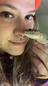 Met my first leopard gecko 😭❤️❤️ the cutest sweetest baby I've ever met in  my life.