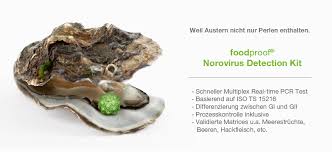 Most people with norovirus illness get better within 1 to 3 days. Neues Norovirus Detection Kit Vorgestellt Biotecon Diagnostics