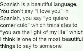 Pin By Selina Gonz On Spanish With Images Light Of My Life Say I Love You You Dont Say