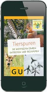 Bilder finden, die zum begriff tierspuren passen. Auf Spurensuche Mit Lernort Natur Deutscher Jagdverband E V Djv Pressemitteilung Lifepr