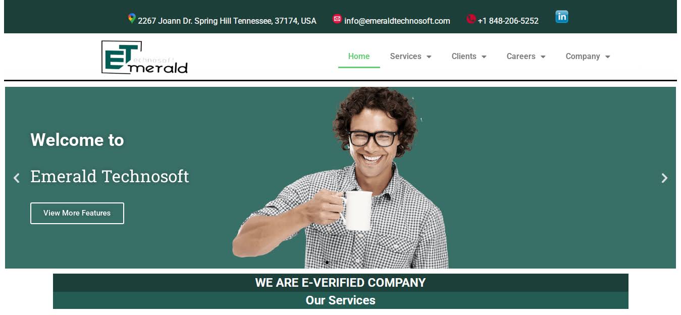 Corporate Website Development - Tech & Consulting Portal product image