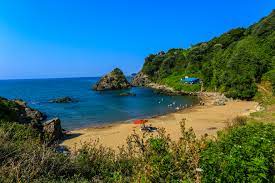 Check spelling or type a new query. Mugada Bartin Amasra Com Tr