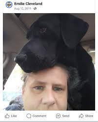 THIS IS A LONG SHOT. BEEN LOOKING FOR MY DOG OREO SINCE 2019 . HE DISAPEARD  FROM MY HOUSE IN ABERDEEN. HE IS A HOUND DOG MIX. HAS A FROSTY WHITE AND