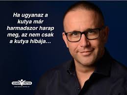 Katinka hosszú news, gossip, photos of katinka hosszú, biography, katinka hosszú boyfriend list 2016. Szabo Peter Az Elet Mint Lehetoseg Motivacio Idezetek Eletmod