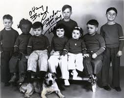 Gordon Porky Lee American Pitbull Terrier American Pitbull Kids Comedy