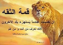 Pin By وردة فيرساي On Imagey Cute Cat Memes Funny Arabic Quotes Jokes Quotes