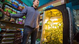 Gardeners supply company old north end 128 intervale road burlington, vermont 05401 locally owned. After Legalization Loss Vt Cannabis Economy Looks Ahead