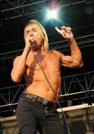 Jerry lewis iggy pop david bowie steven tyler mick jagger les doors philippe halsman the stooges 1970s. Iggy Pop Wikipedia