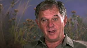 Заповедник Шамвари (1 сезон) (2018) смотреть онлайн бесплатно в хорошем  качестве » The-Cinema