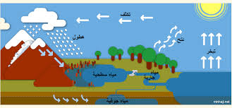مدونتي دورة المياه في الطبيعة