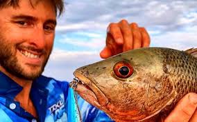 Mangrove Jack Fishing Archives