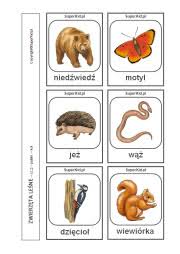 Wszystko, co kojarzy nam się z tymi wiosennymi świętami. Obrazki Do Wydruku Zwierzeta Lesne Superkid