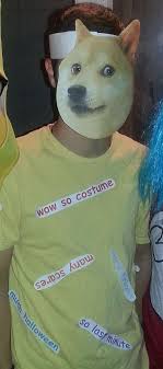 20 Funny Pop Culture And Meme Inspired Halloween Costumes For Adults Halloween Costumes Pop Culture Halloween Costumes Diy Couples Halloween Costume Meme