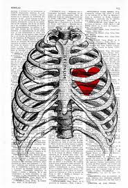Christmas Gift Valentines Gift Heart Trapped In A Rib Cage Etsy Anatomy Art Art Art Inspiration