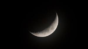 The ziarat ashura is also read, which is the book containing salutations. C4uthdmrpt93gm