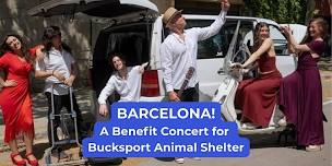 Barcelona - A Fundraiser Event