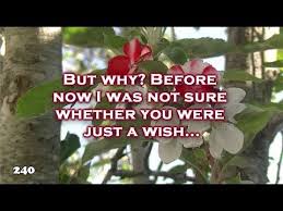 What S Wrong With You Love Poem Short Beautiful And Romantic Youtube Short Poems About Love Time Love Quotes Love Poems