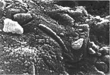 Check spelling or type a new query. Meteorite Wikipedia