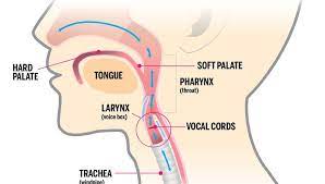 The countertenor voice would usually be able to sing the high head. 1 Great Trick To Help You Sing High Notes