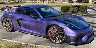Image result for Viola 2025 Porsche