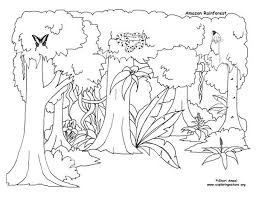 Rainforest Activities And Printables Rainforest Animals Rainforest Activities Rain Forest Diorama