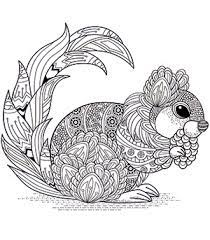 Did you mean coloring book. Coloring Book Printing Coloring Book Publishers Bookbaby