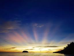 Lewis Olsen Lakeri (@iamlewisolsen89) • Instagram photos and videos