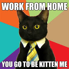 Work From Home Memes Sorry Memes Business Cat Meme Funny Memes