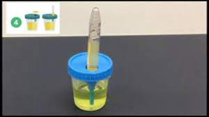 Vacutainer Tutorial From Microgen Dx Youtube