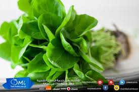 زيت الجرجير من أشهر الزيوت في عالم العناية بالشعر فإن استخدام زيت الجرجير كحمام زيت أسبوعي أو لتصفيف الشعر له نتائج إيجابية مذهلة صح Vegetables Spinach Food