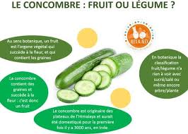 Concombre Est Ce Un Fruit Ou Un Legume Alex Alex