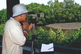 Restaurants in der nähe von lorong halus wetland auf tripadvisor: Lorong Halus Pc Park Connector Network Gardens Parks Nature National Parks Board Nparks