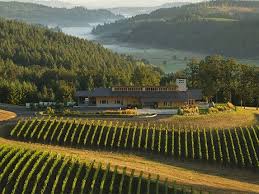 Winemaker Profile Lynn Penner Ash Of Penner Ash Wine Cellars Arden