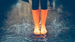 Its wet because most rain forests live on the equator were its mostly sunny and not usually winter. Bbc Radio 4 Radio 4 In Four Mizzle And Smirr 13 British Words And Phrases For Rain